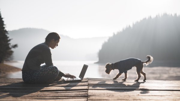 Sample content thumbnail