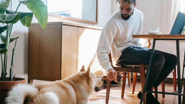 Sample content thumbnail